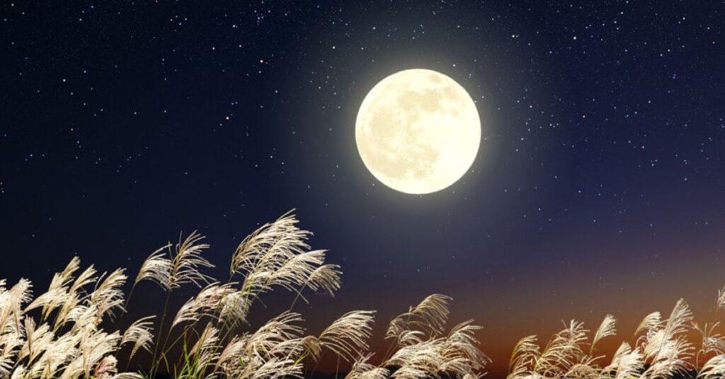 Moon in Japanese Culture