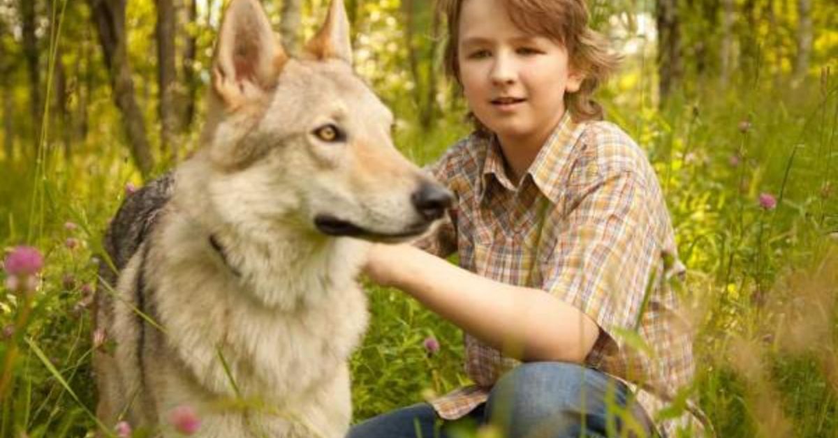 Names That Mean Wolf