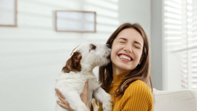 How Getting a Dog Changed Our Family